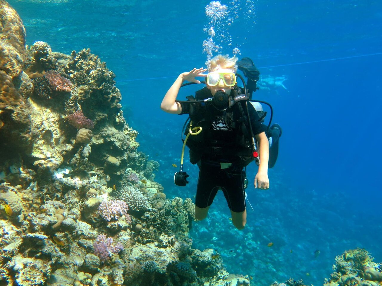 Sharm El Sheikh: Discover Scuba Diving Full - Day PADI Program