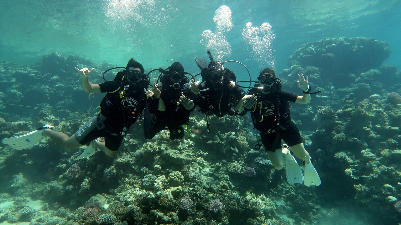 Sharm El Sheikh: Discover Scuba Diving Full - Day PADI Program
