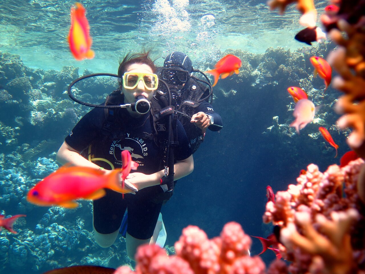 Sharm El Sheikh: Discover Scuba Diving Full - Day PADI Program