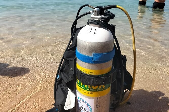 Sharm El Sheikh: Discover Scuba Diving Full - Day PADI Program