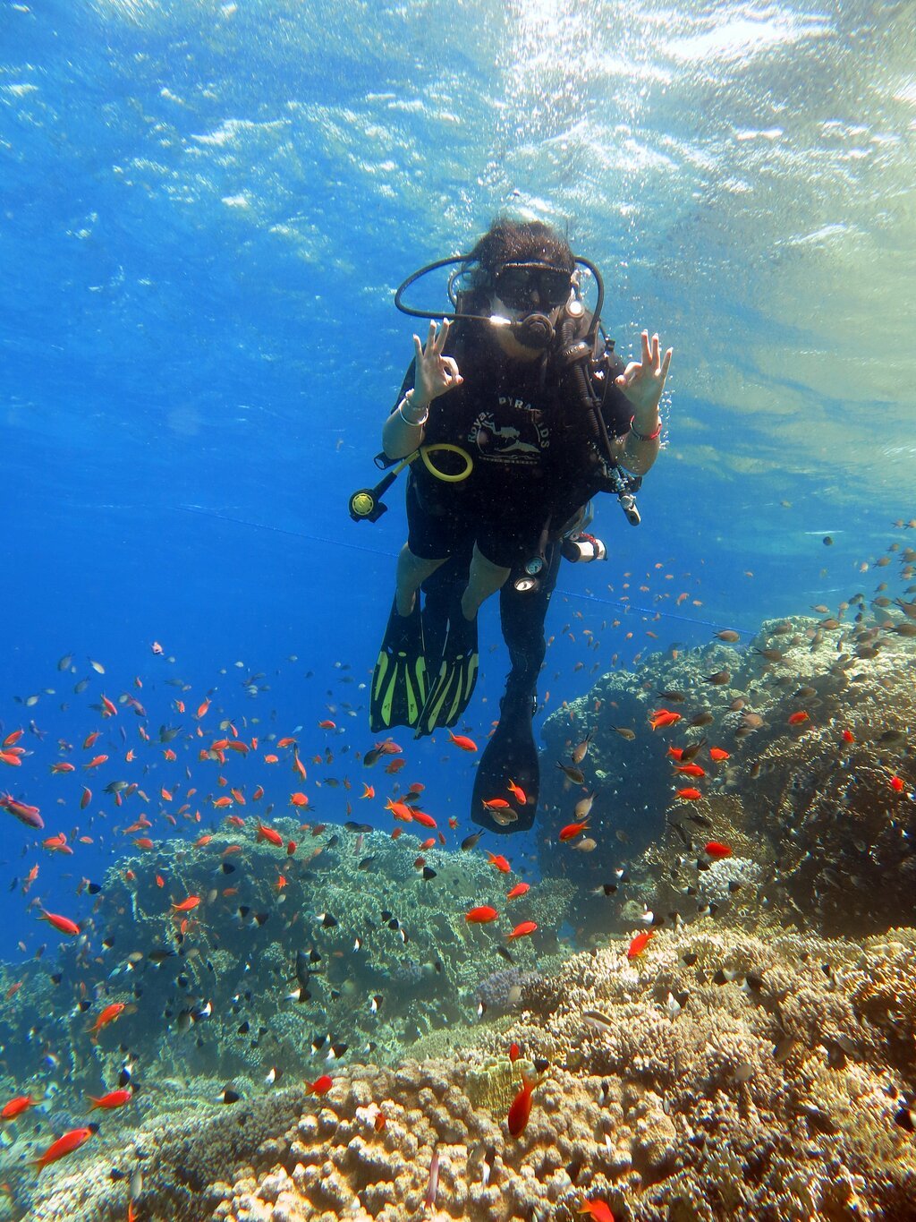 Sharm El Sheikh: Discover Scuba Diving Full - Day PADI Program