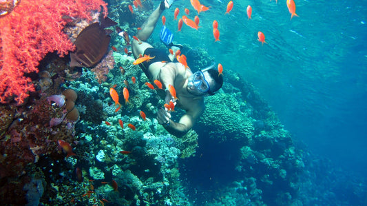 Sharm El Sheikh: Full - Day Ras Mohammed Snorkeling Boat Trip