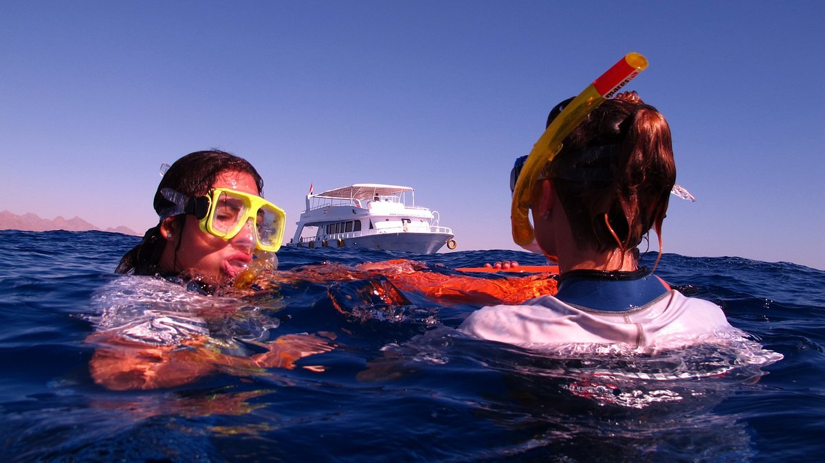 Sharm El Sheikh: Full - Day Ras Mohammed Snorkeling Boat Trip