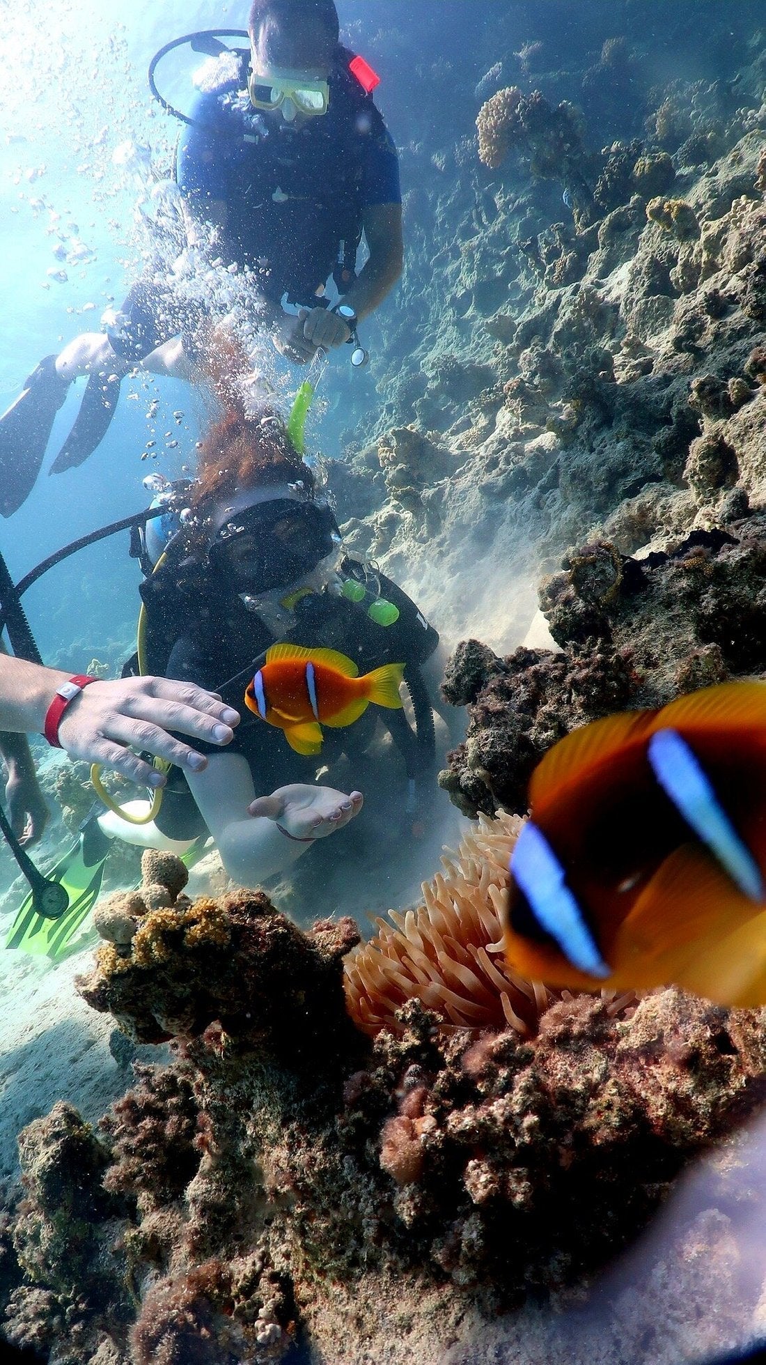 Sharm El Sheikh: Open Water Diver Course
