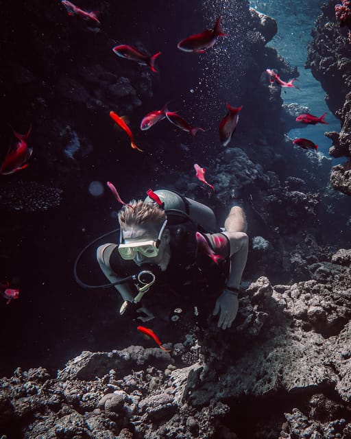 Sharm El Sheikh: PADI ReActivate Scuba Review