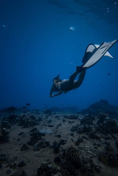 Sharm El Sheikh: PADI ReActivate Scuba Review