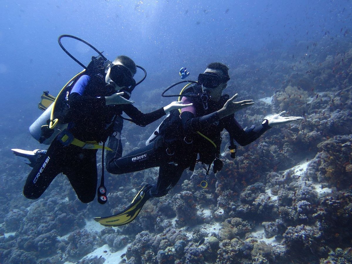 Sharm El Sheikh: PADI Scuba Diver Course