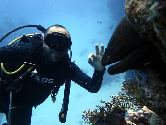 Sharm El Sheikh: Ras Mohamed and White Island Snorkeling or Diving Boat Trip