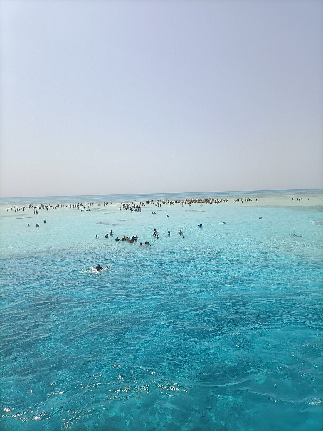 Sharm El Sheikh: Ras Mohamed National Park VIP Snorkeling & Diving Trip