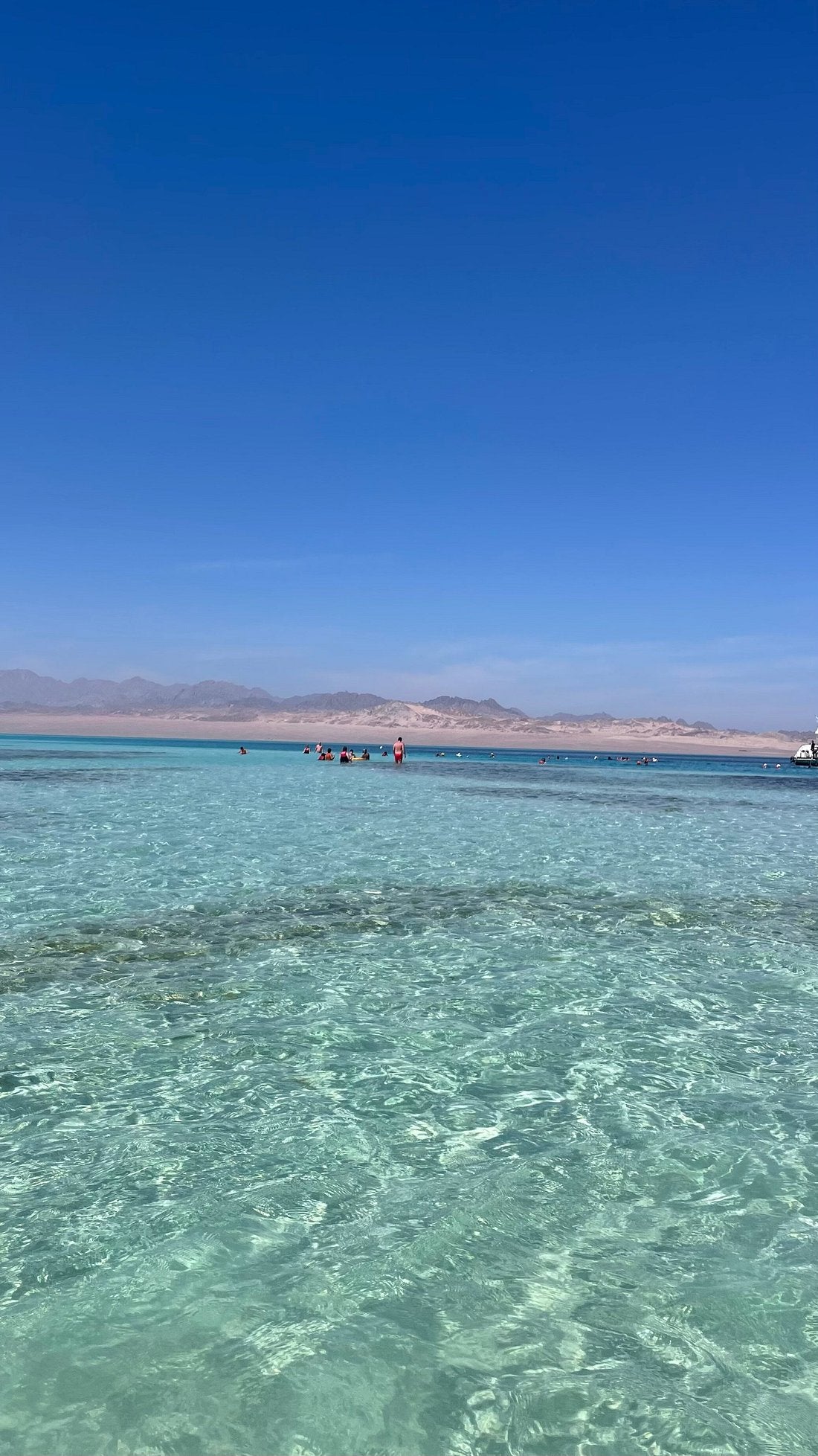 Sharm El Sheikh: Ras Mohammed and White Island Snorkeling Boat Trip with Optional Dive