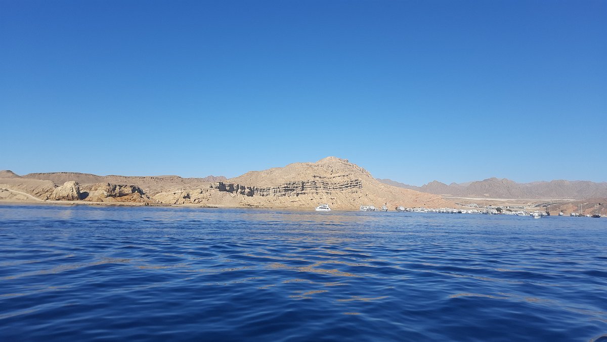 Sharm El Sheikh: Ras Mohammed and White Island Snorkeling Boat Trip with Optional Dive