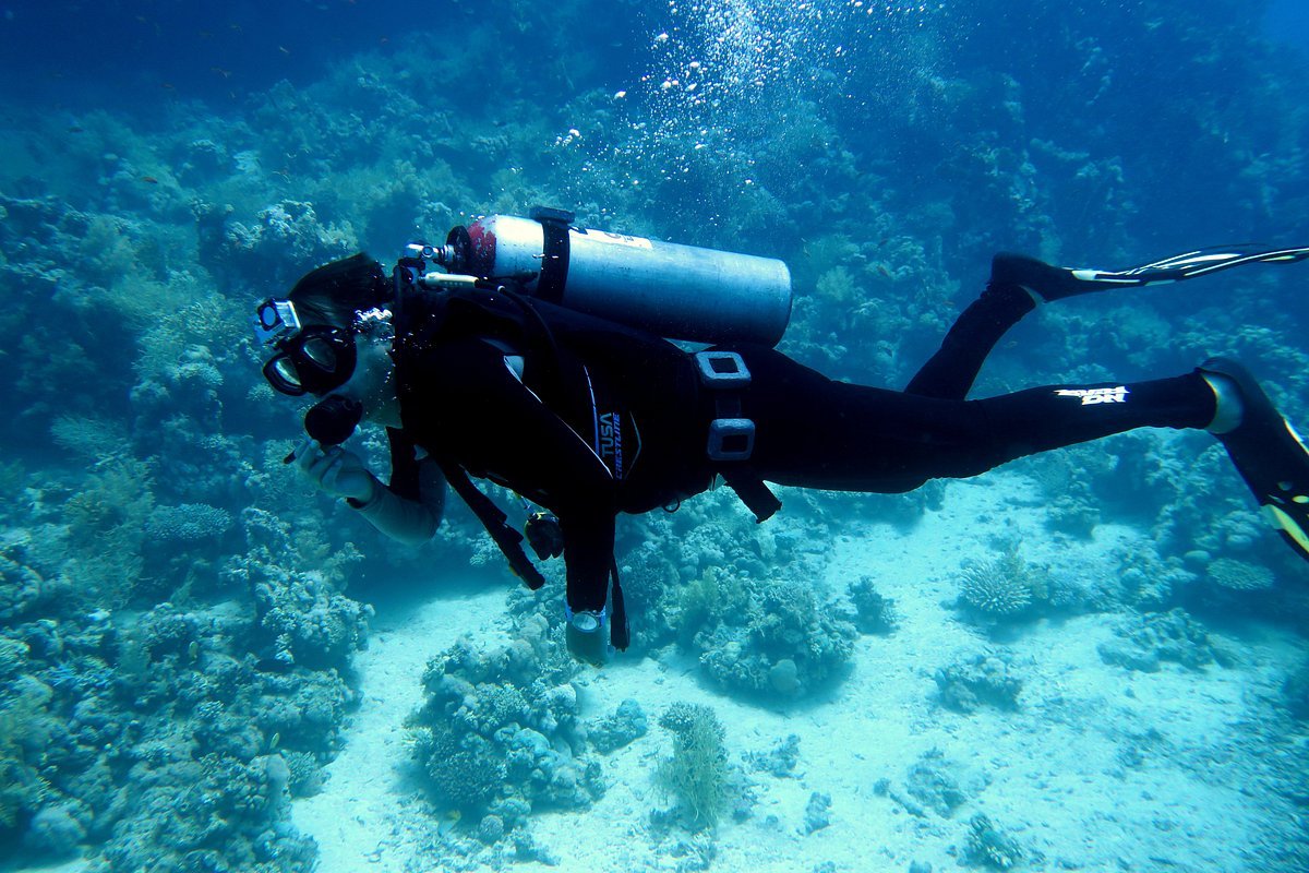 Sharm El Sheikh: Ras Mohammed Diving Trip for Certified Divers