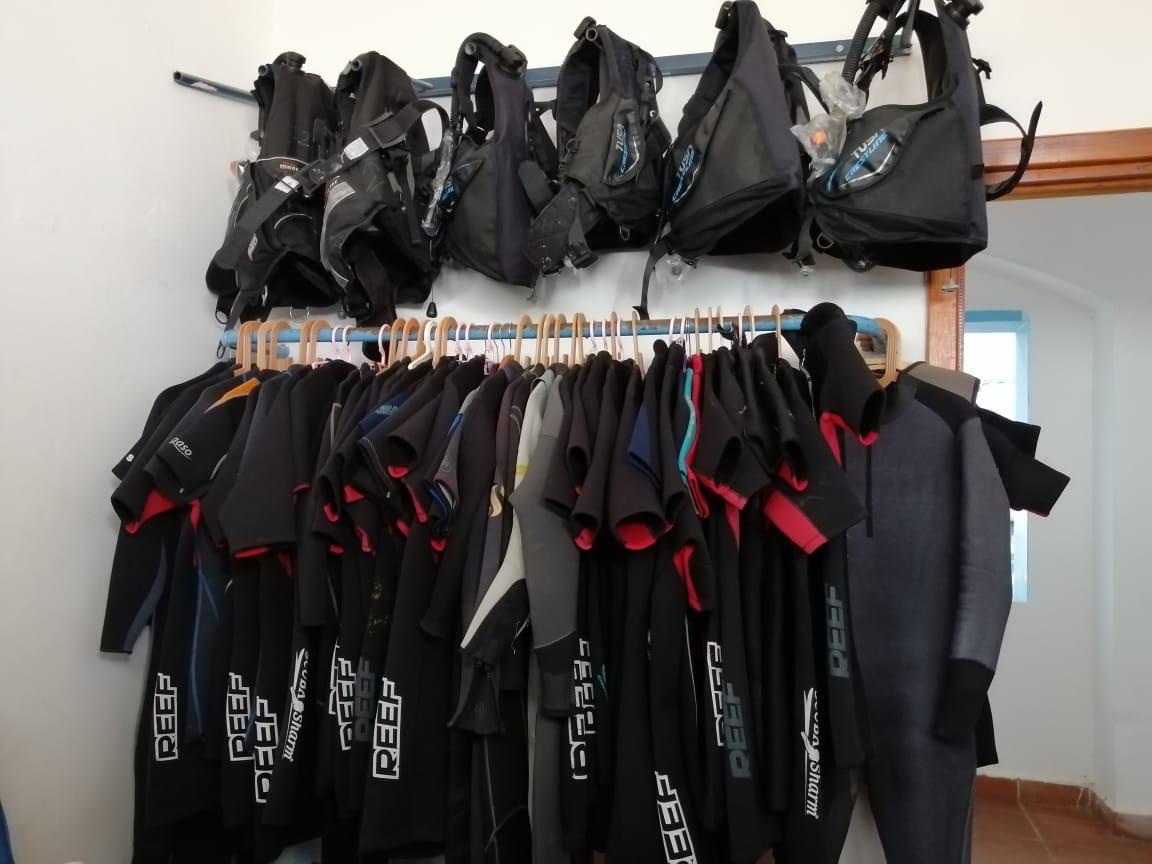 Sharm El Sheikh: Ras Mohammed Diving Trip for Certified Divers