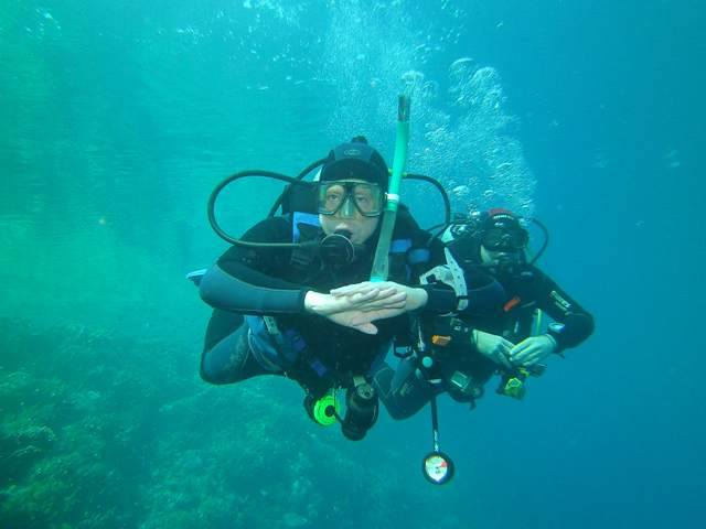 Sharm El Sheikh: Shore Dives in Sharks Bay