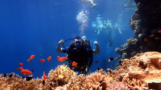 Sharm El Sheikh: Snorkeling Day Trip To Ras Mohamed and White Island by boat