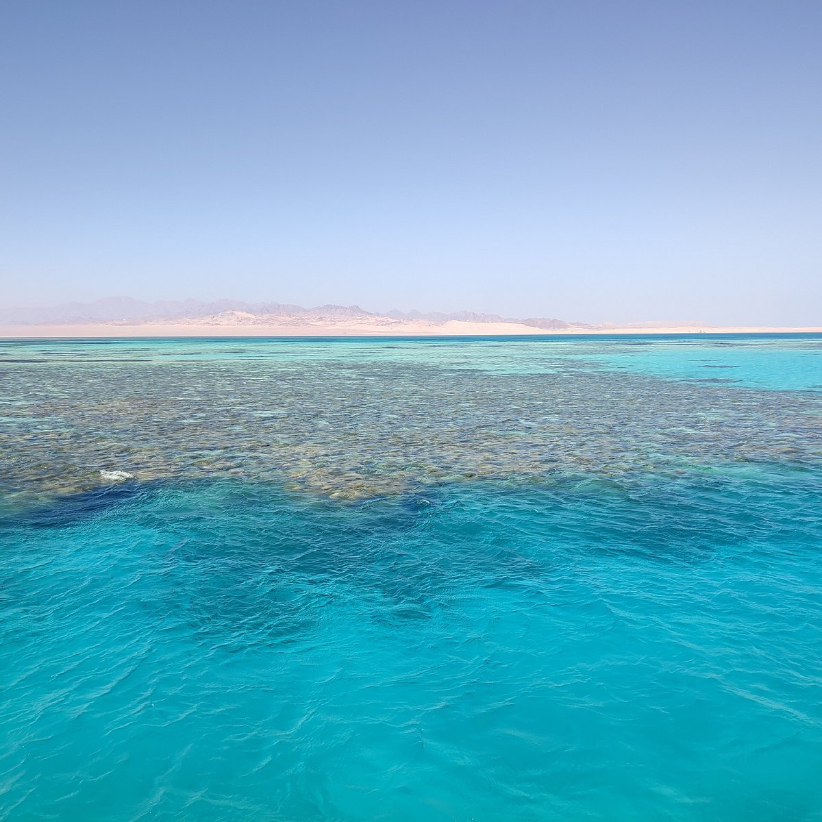 Sharm El Sheikh: Snorkeling in Ras Mohammed and White Island Visit