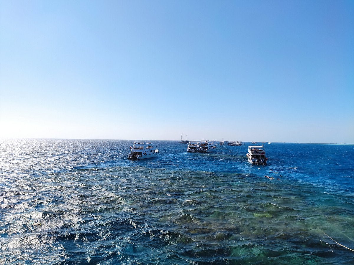 Sharm El Sheikh: Snorkeling in Ras Mohammed and White Island Visit