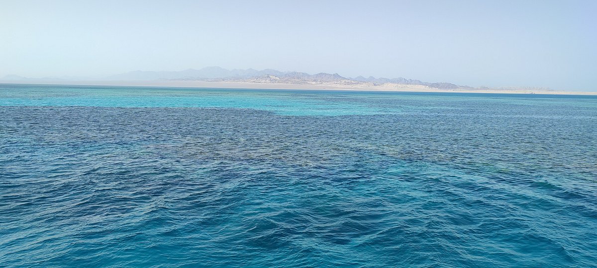 Sharm El Sheikh: Snorkeling in Ras Mohammed and White Island Visit