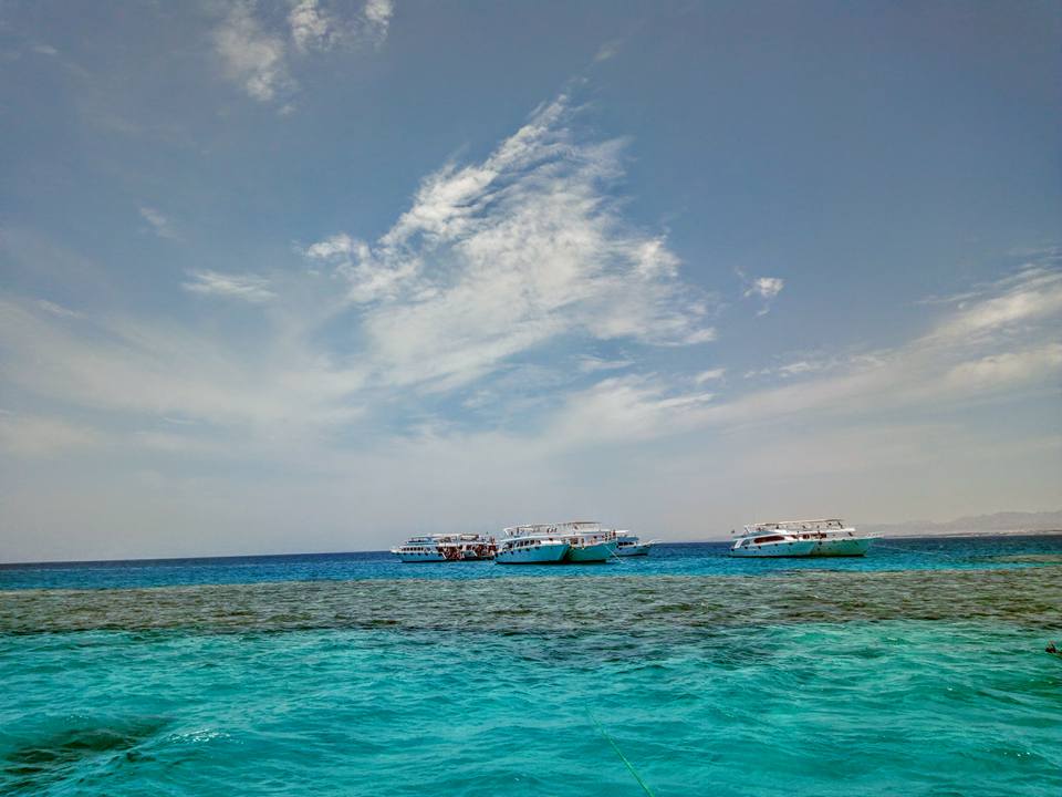 Sharm El Sheikh: Snorkeling in Tiran Island