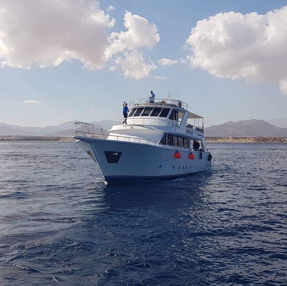 Sharm El Sheikh: Snorkeling in Tiran Island