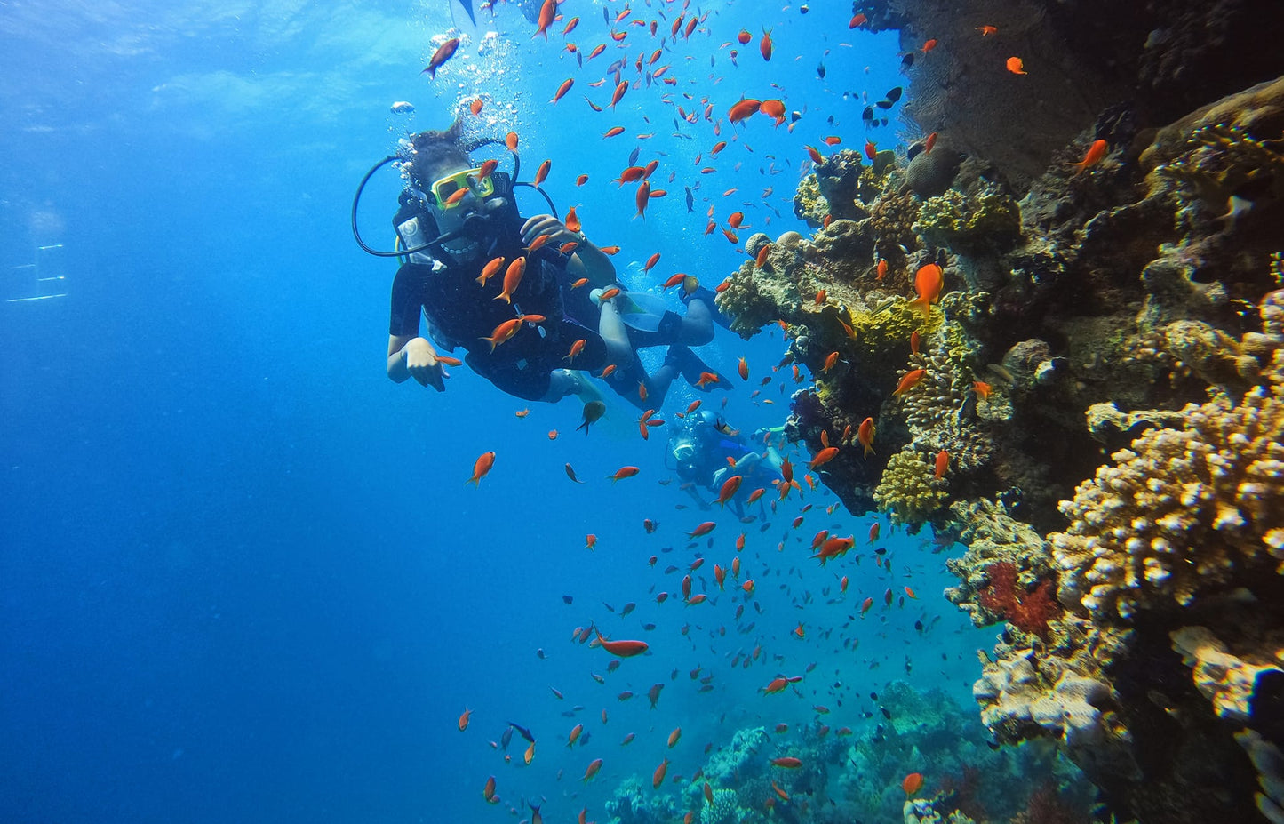Sharm El Sheikh: Snorkeling Trip to Ras Mohammed by Boat