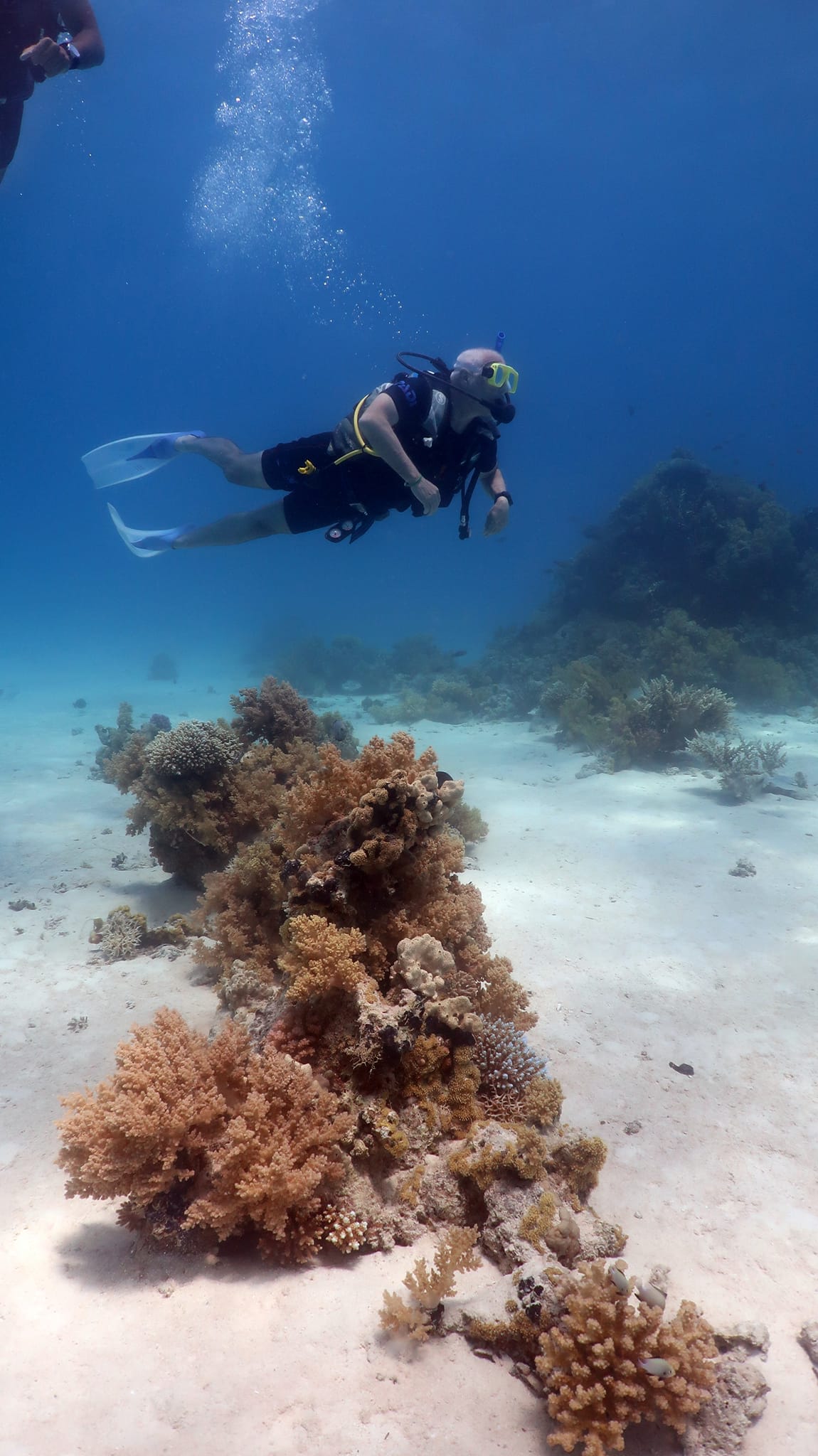 Sharm El Sheikh: Snorkeling Trip to Ras Mohammed by Boat