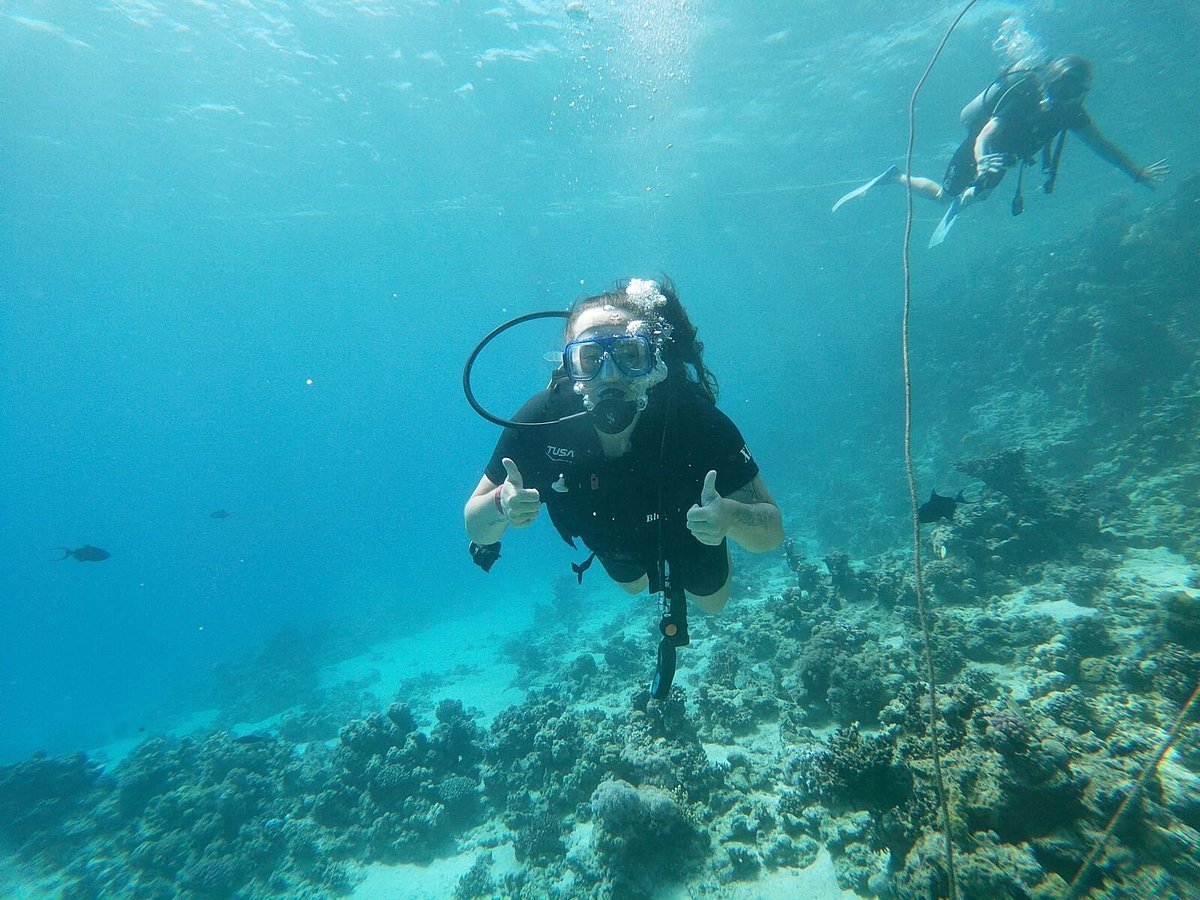 Sharm El Sheikh: Snorkeling Trip to Ras Mohammed by Boat from Sharm El Sheikh