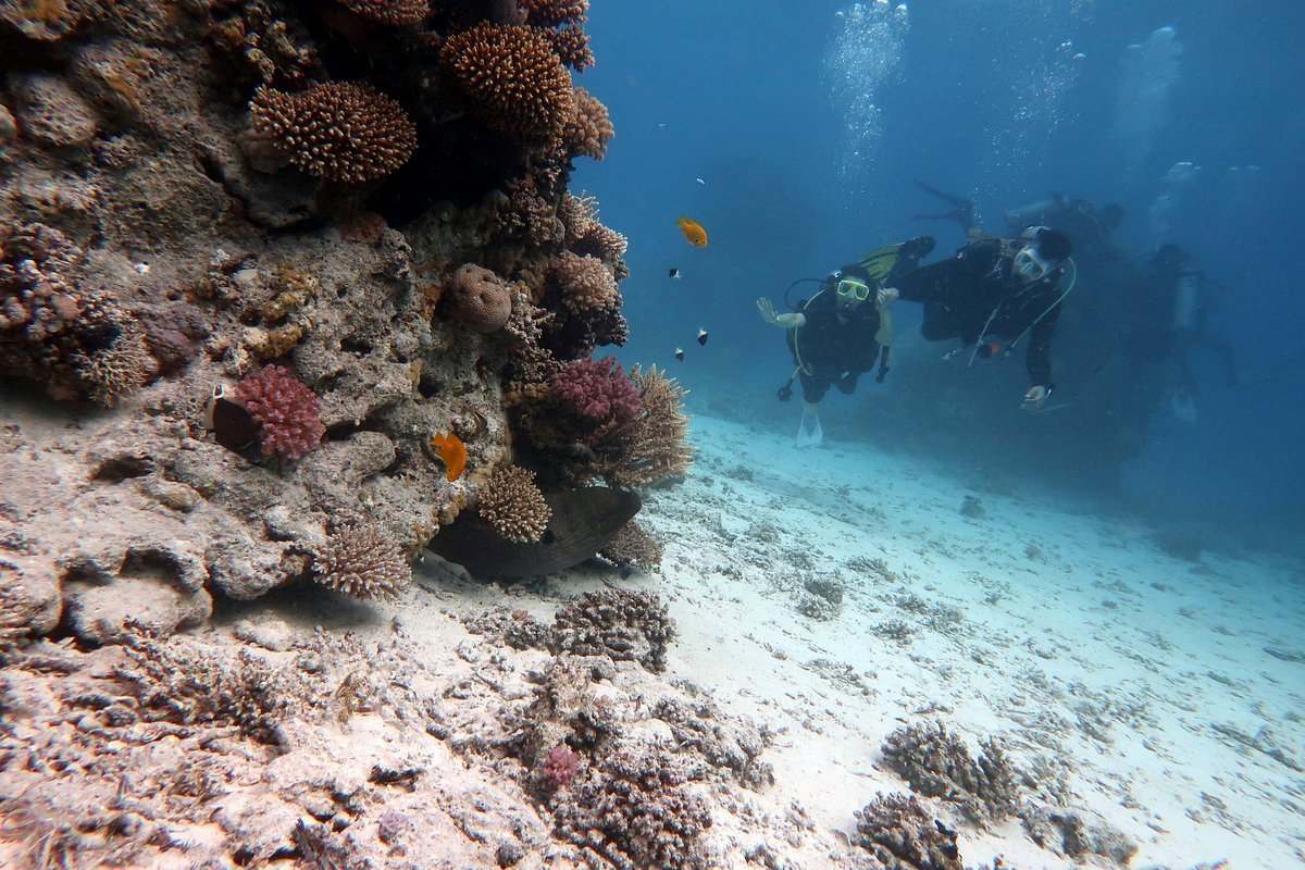 Sharm El Sheikh: Snorkeling Trip to Ras Mohammed by Boat from Sharm El Sheikh