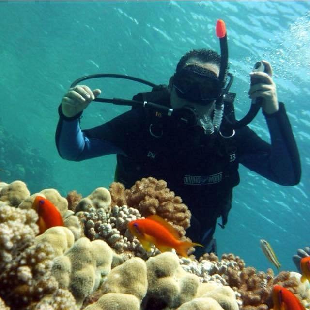 Sharm El Sheikh: Snorkeling Trip to Ras Mohammed by Boat from Sharm El Sheikh