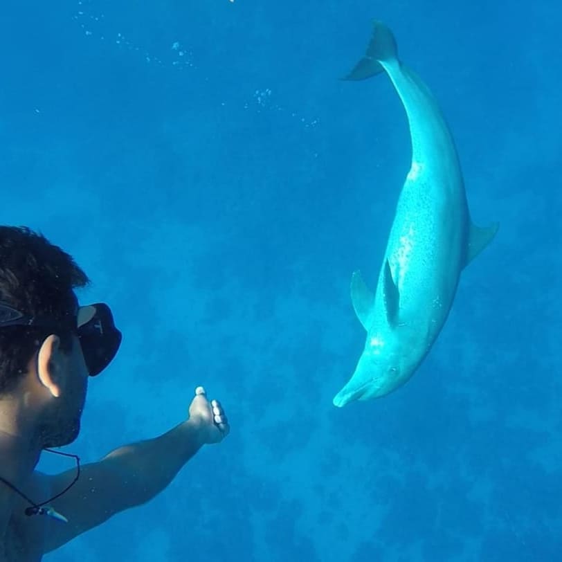 Sharm El Sheikh: Snorkeling Trip to White Island