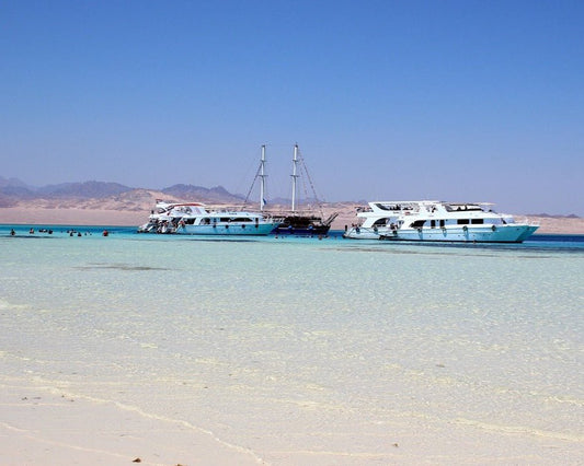 Sharm El Sheikh: Snorkeling Trip to White Island