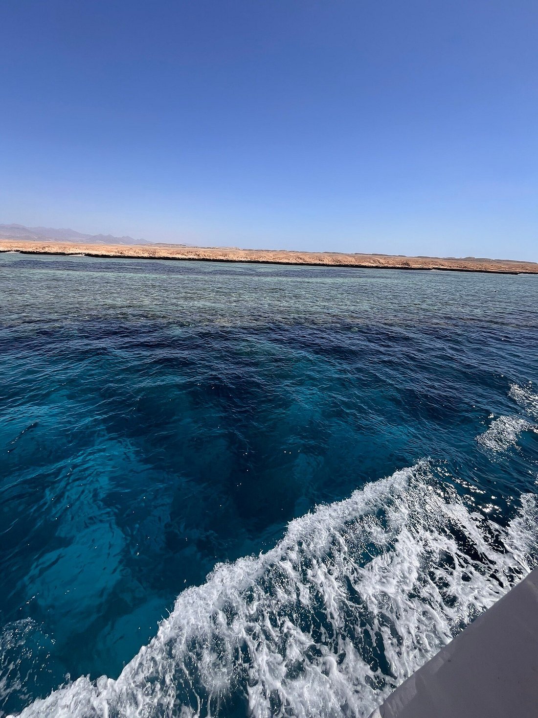 Sharm El Sheikh: Snorkeling Trip to White Island