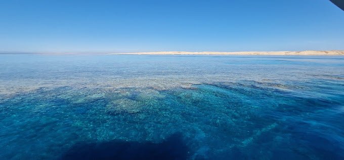 Sharm El Sheikh: Tiran Island Snorkeling and Blue Lagoon Boat Trip