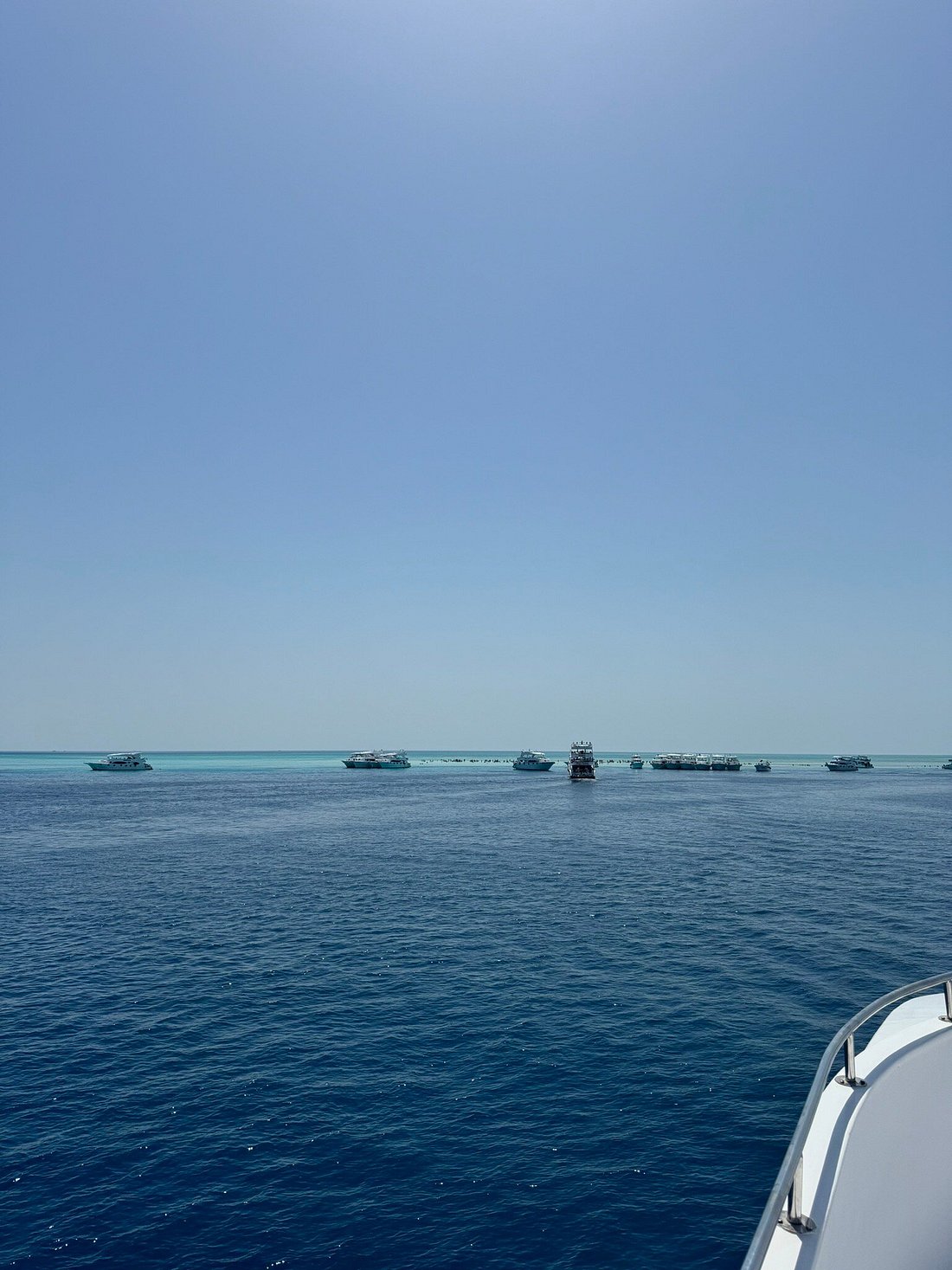 Sharm El Sheikh: Tiran Island Snorkeling and Diving Adventure