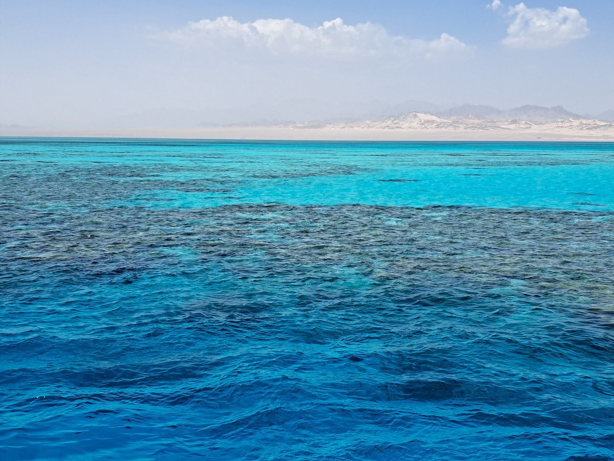 Sharm El Sheikh: Tiran Island Snorkeling and Diving Adventure