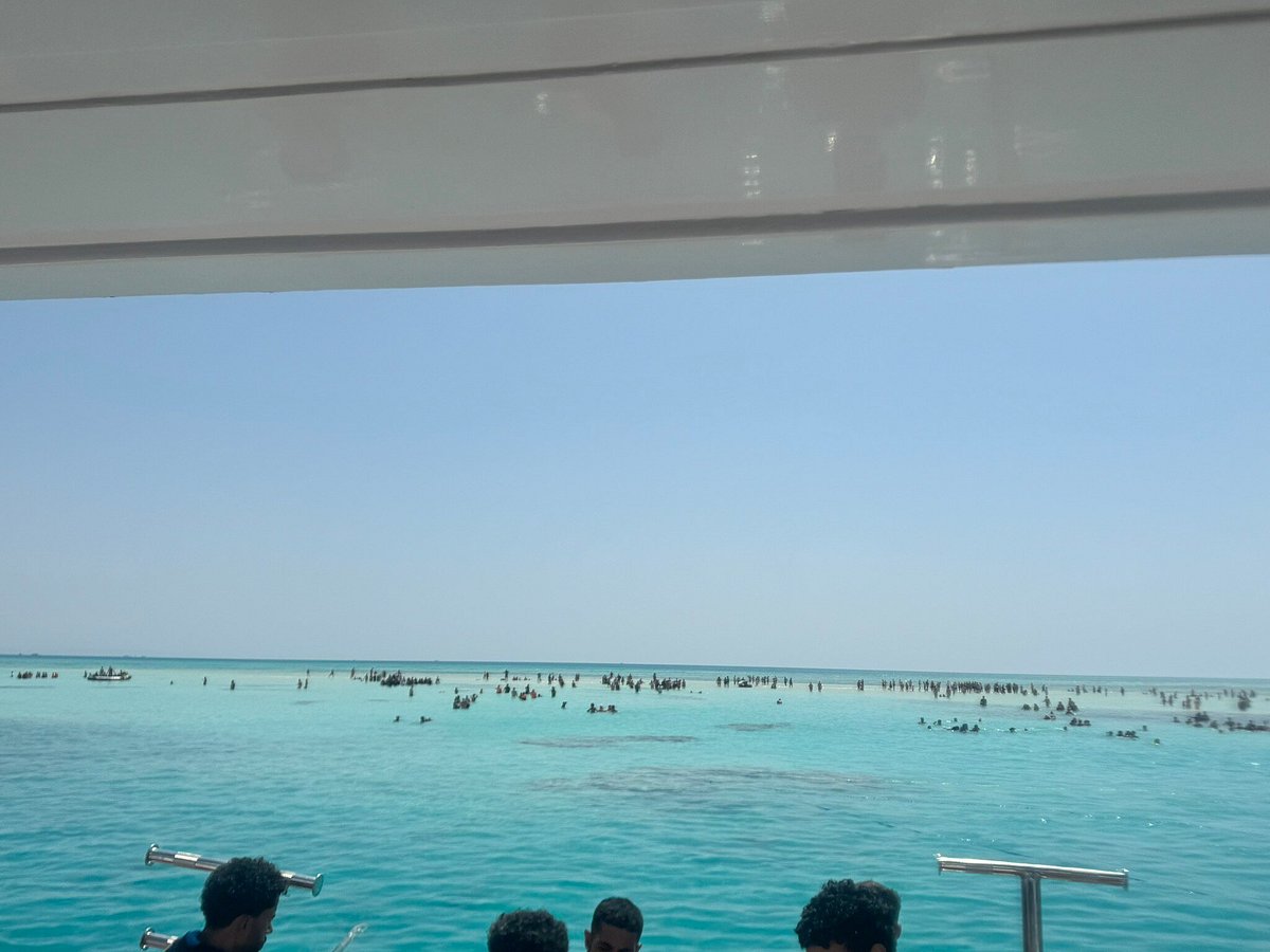 Sharm El Sheikh: Tiran Island Snorkeling and Diving Adventure