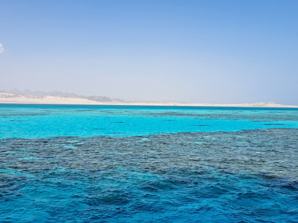 Sharm El Sheikh: Tiran Island Snorkeling and Diving Adventure