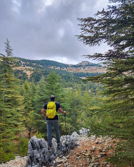 From Beirut: Bcharre, Qadisha Valley & Cedars Tour