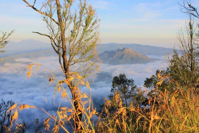 Summit Rest and Breakfast