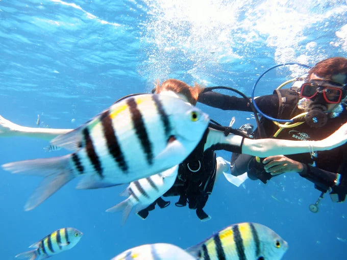 From Sharm El Sheikh: Salama Bunter Canyon, Drei Pools und Dahab Jeep Safari Abenteuer