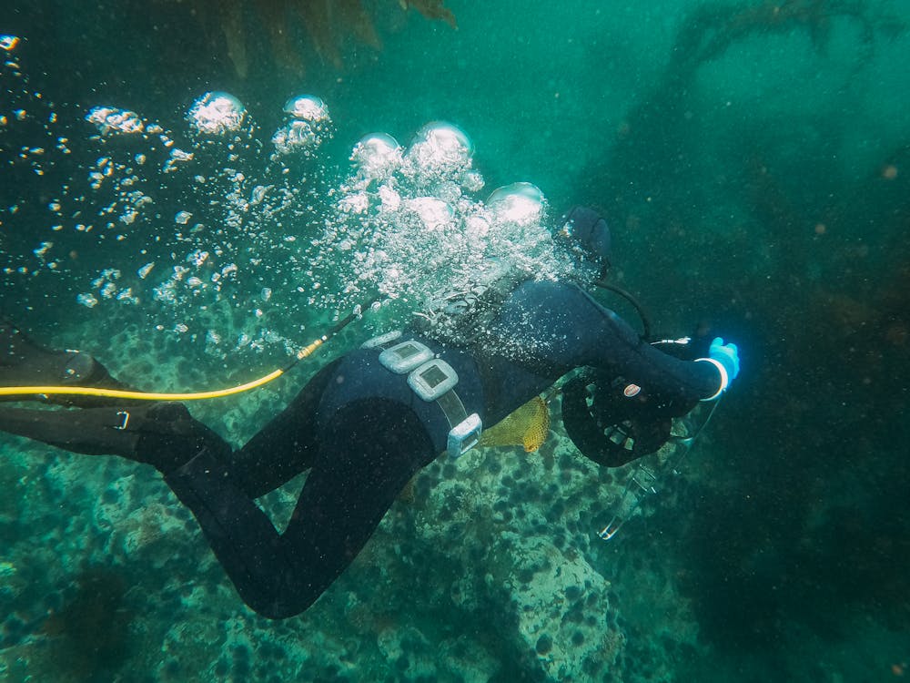Tiran Island: Full - day Snorkeling and Diving Boat Trip