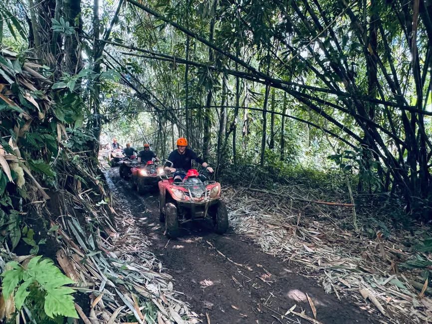 Ubud: ATV Jungle Tour and Zipline Over Tegalalang Rice Terraces