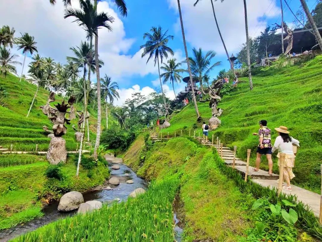 Ubud: Batur Sunrise Café, Zip - Line and Cretya Day Club Guided Tour
