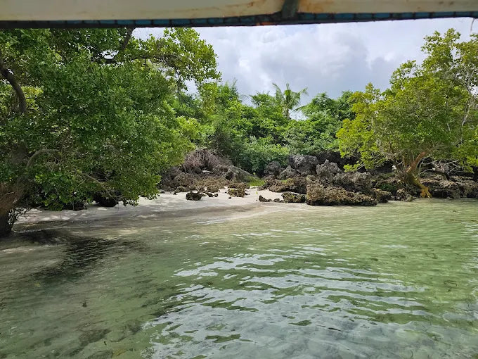 Zanzibar: Tur Perahu Layar ke Pungume Sandbank dengan Snorkeling dan Makan Siang BBQ