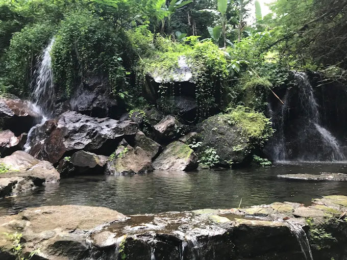 参观Goa Raja瀑布