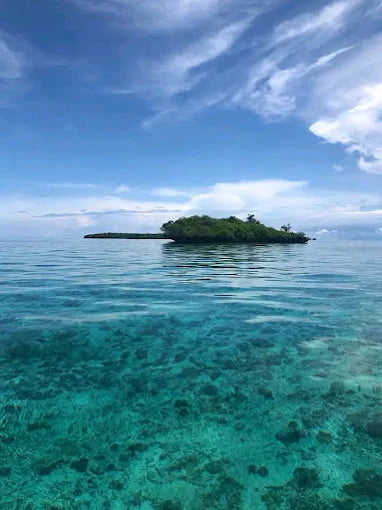 Zanzibar: Tur Perahu Layar ke Pungume Sandbank dengan Snorkeling dan Makan Siang BBQ