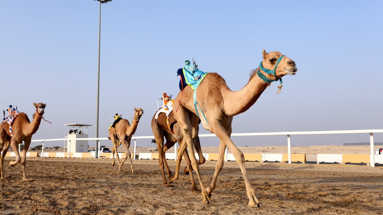 West Qatar: Richard Serra Desert Sculpture and Umbrella Rock Tour