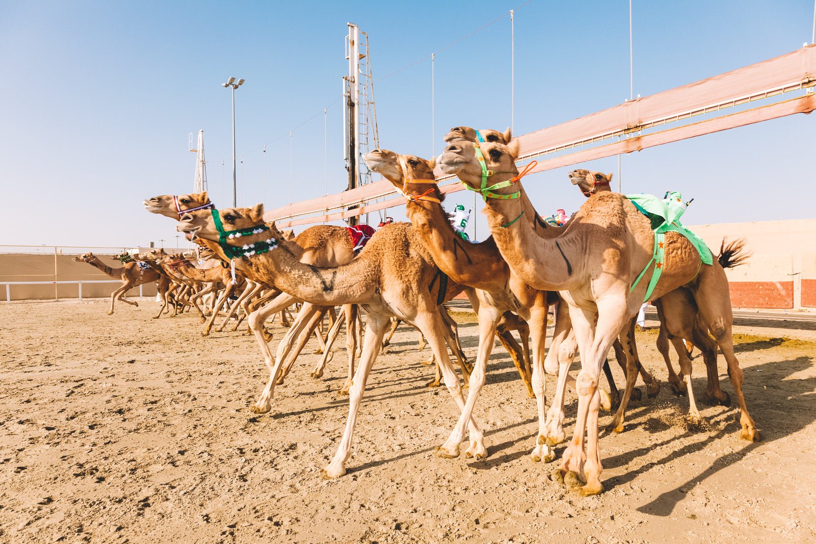 West Qatar: Richard Serra Desert Sculpture and Umbrella Rock Tour