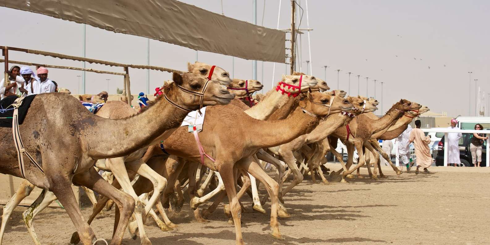 West Qatar: Richard Serra Desert Sculpture and Umbrella Rock Tour