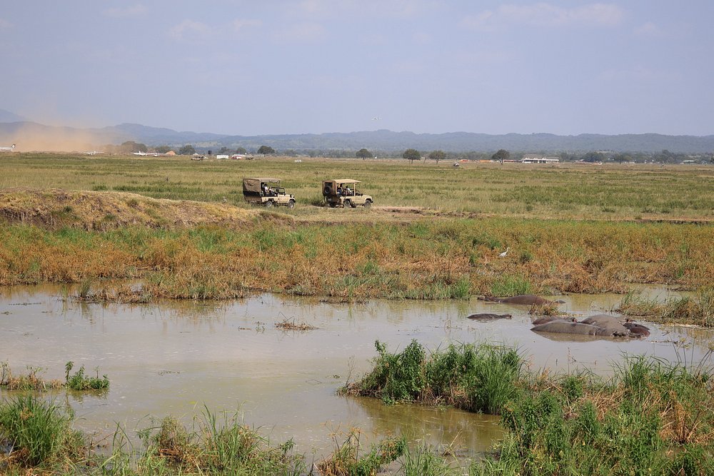 Zanzibar: 1 - Day Safari to Mikumi National Park by Plane